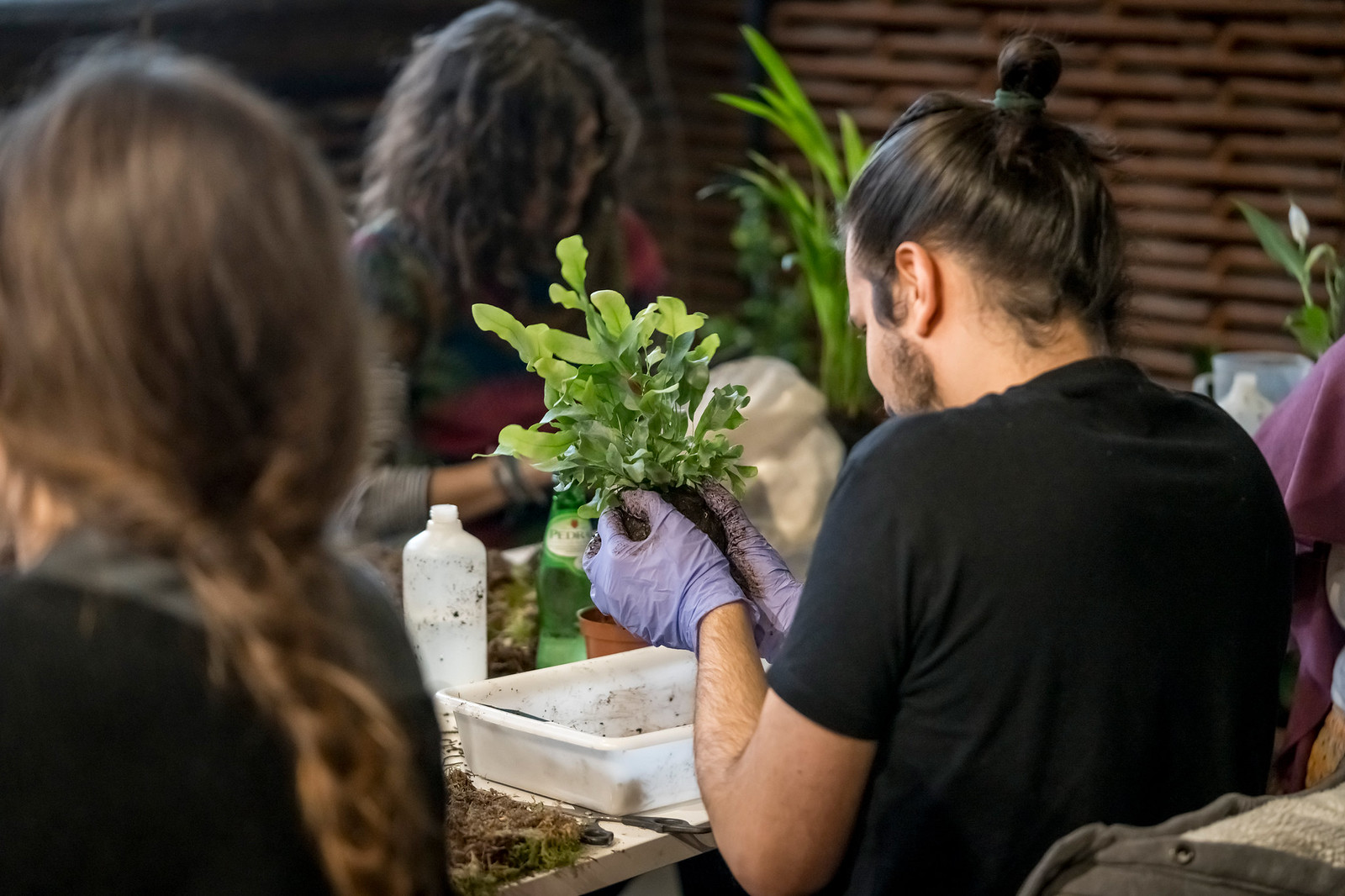 Matadero Madrid celebrará la segunda edición de Biophest 1