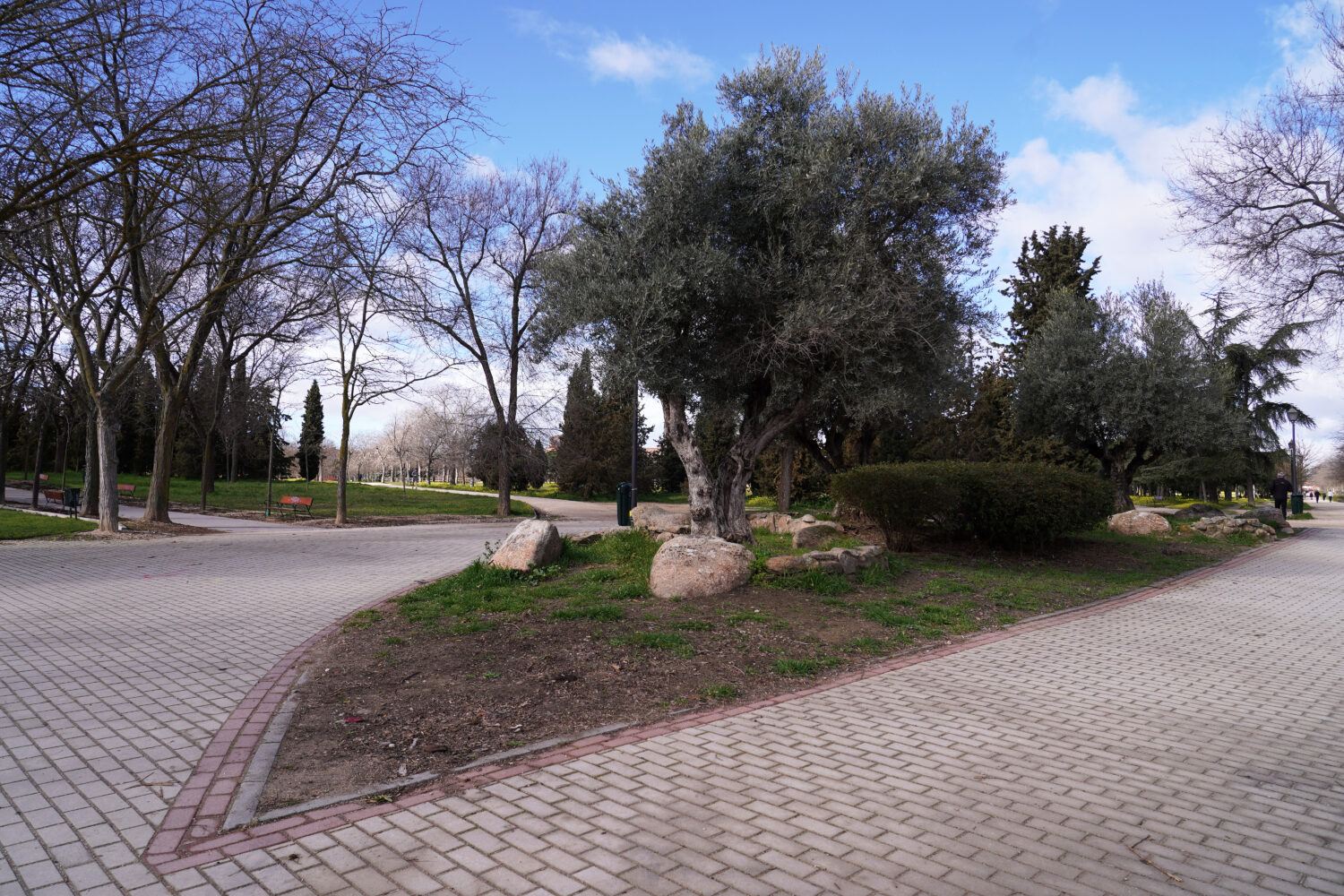 rehabilitación integral del parque de Las Cruces