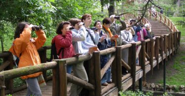 400 razones ambientales para disfrutar de la primavera en Madrid