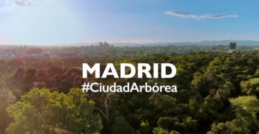 Ciudad Arbórea del Mundo