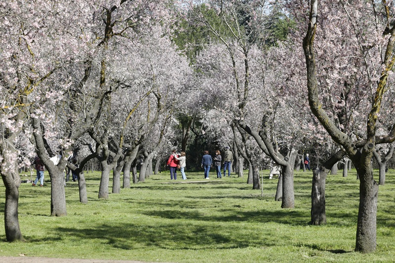 La Quinta de los Molinos vive la primera floración