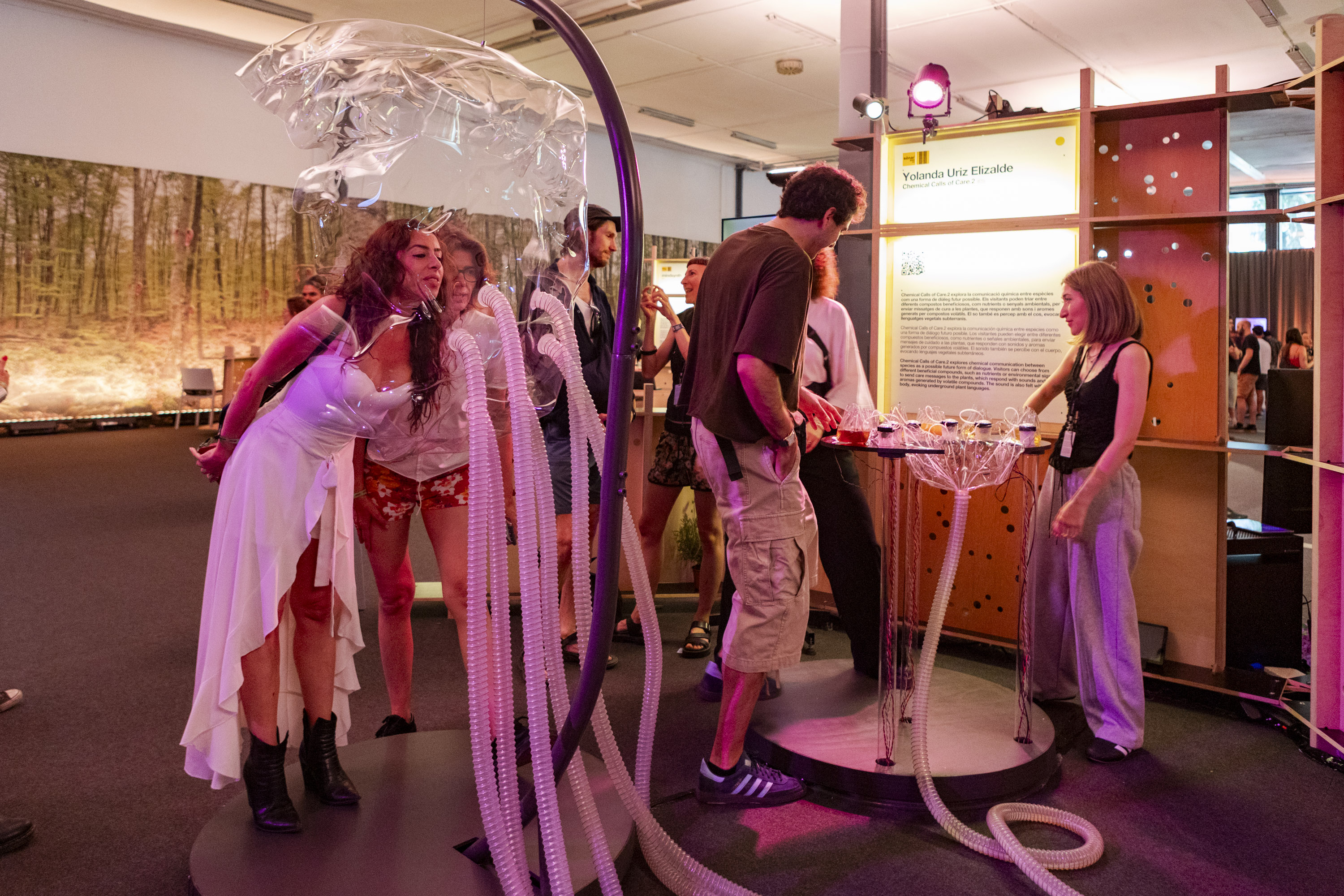 segunda edición del festival Biophest