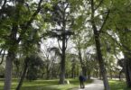 Madrid da luz verde a sus dos protocolos de parques