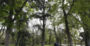 Madrid da luz verde a sus dos protocolos de parques