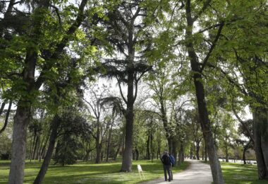 Madrid da luz verde a sus dos protocolos de parques