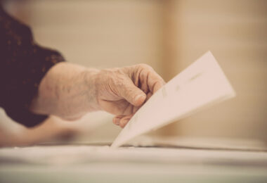 ley de nietos voto